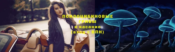мдпв Беломорск