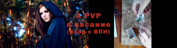 винт Белокуриха
