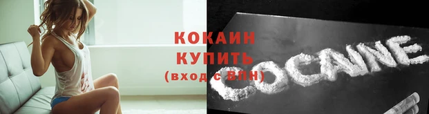 винт Белокуриха
