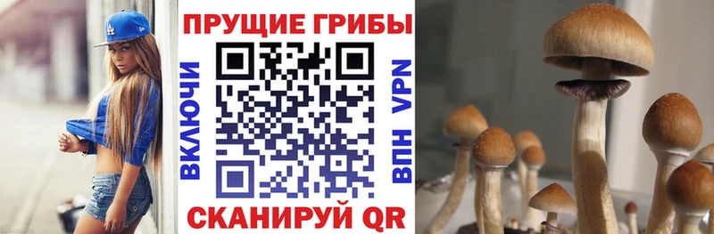 Галлюциногенные грибы Psilocybe  Облучье 